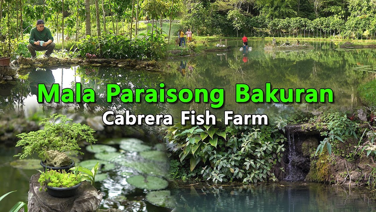Mala Paraisong Bakuran - Cabrera Fish Farm
