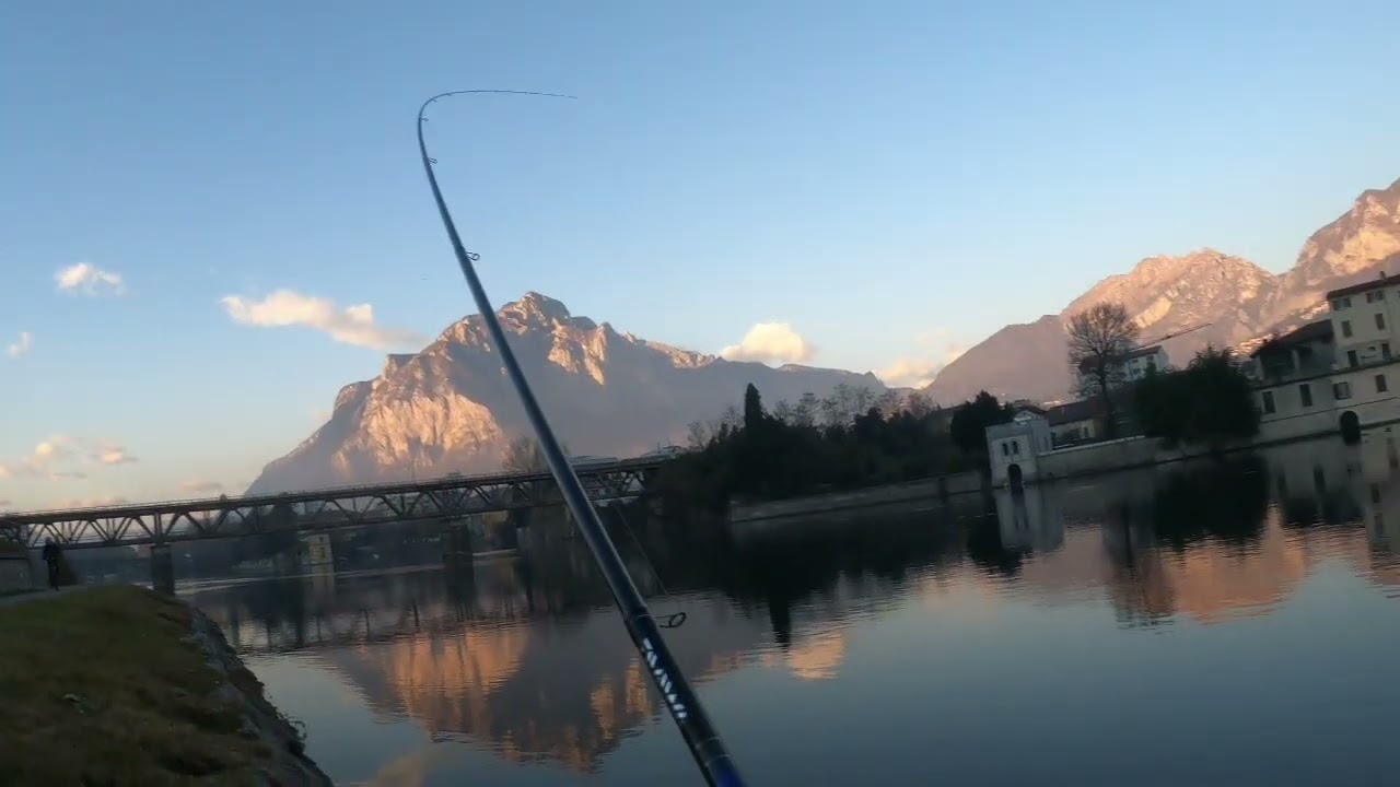 Tournament Japan 🇯🇵.....è il tuo turno#adda#fishing#daiwa#pesca#bolognese#ilovefishing#fishinglife