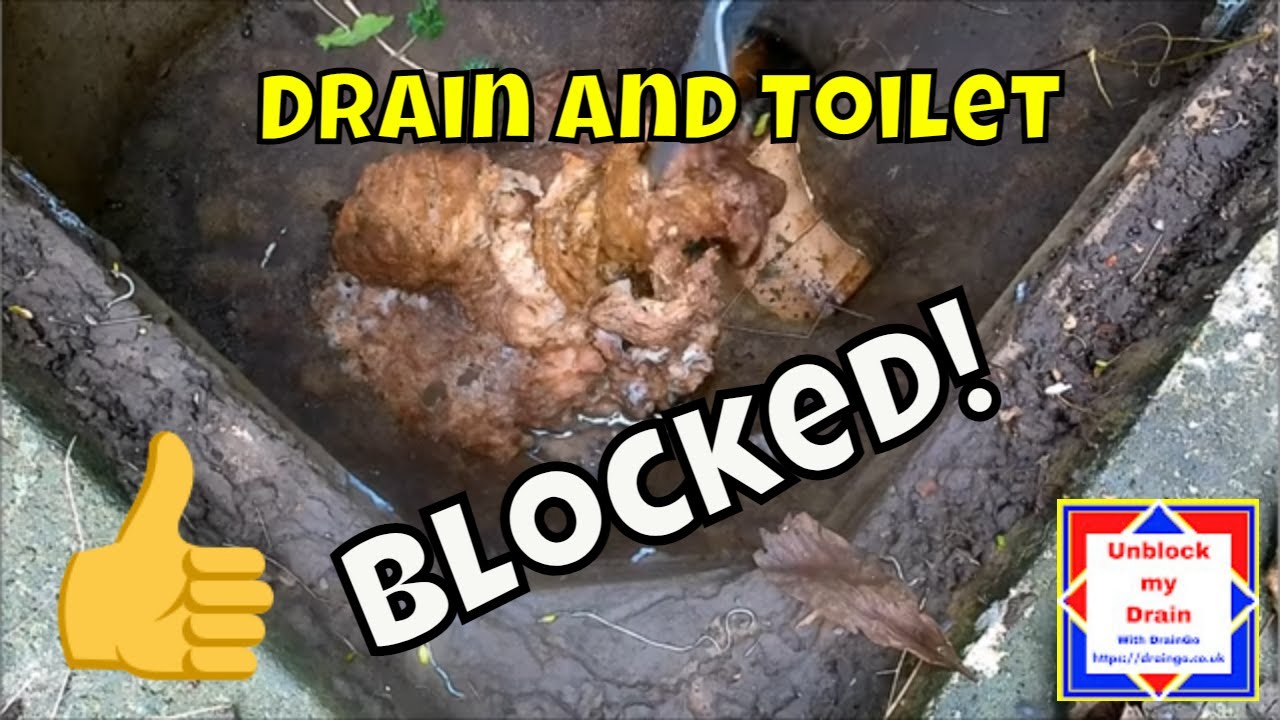 Drain and Toilet Blocked | x 2