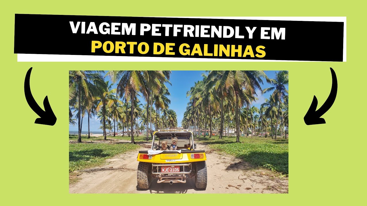 Viagem Petfriendly: Porto de Galinhas/PE