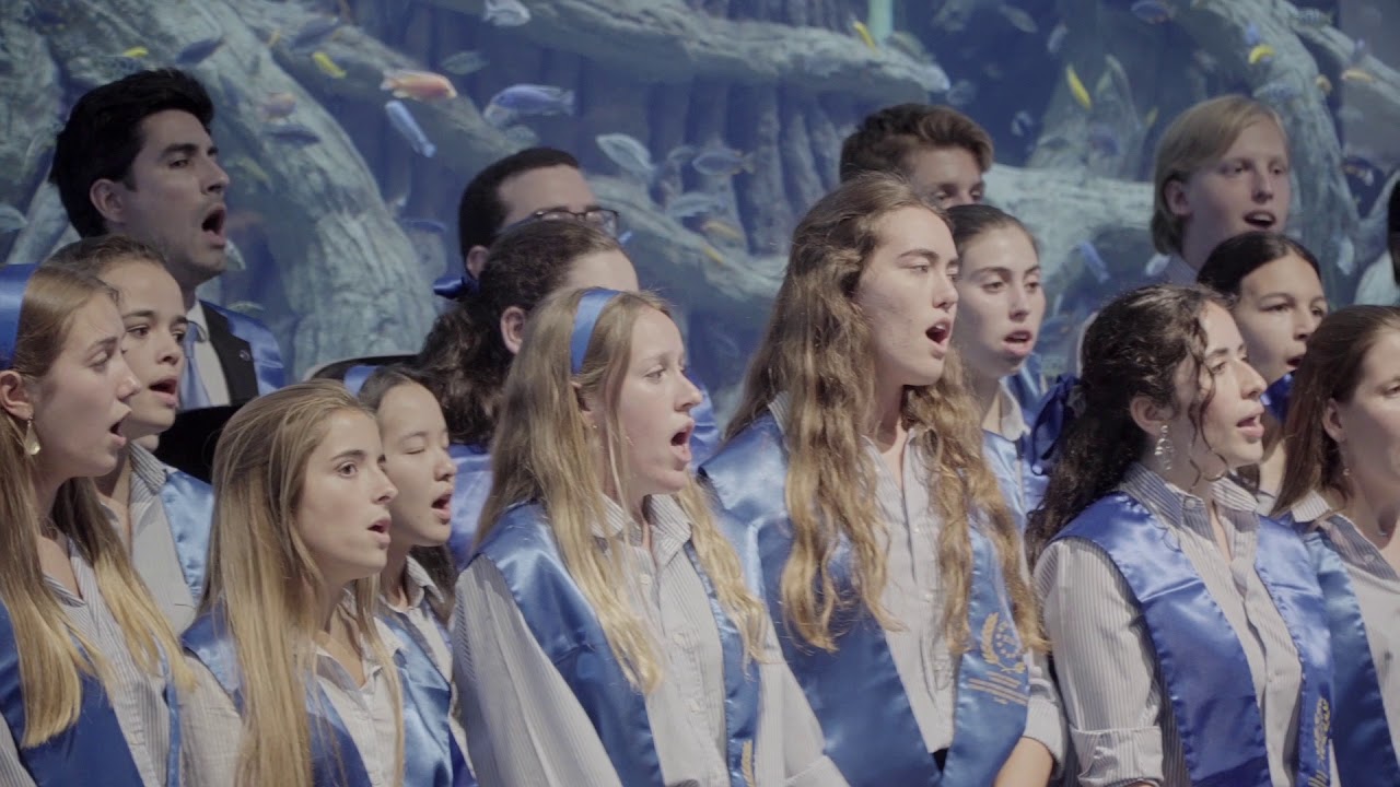 Concierto del Coro Brahms en Acuario de Sevilla a beneficio de Fundación Aladina