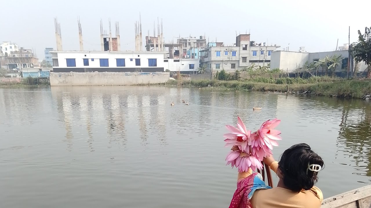 💚কাউকে বিশ্বাস করি না ঠকে যাবে