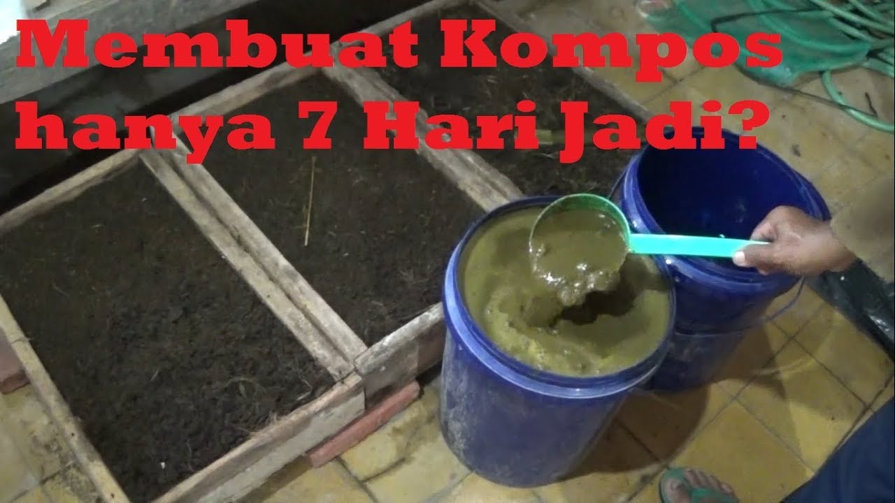Cara Extrem Membuat Kompos Dari Kohe Sapi 7 Hari Jadi