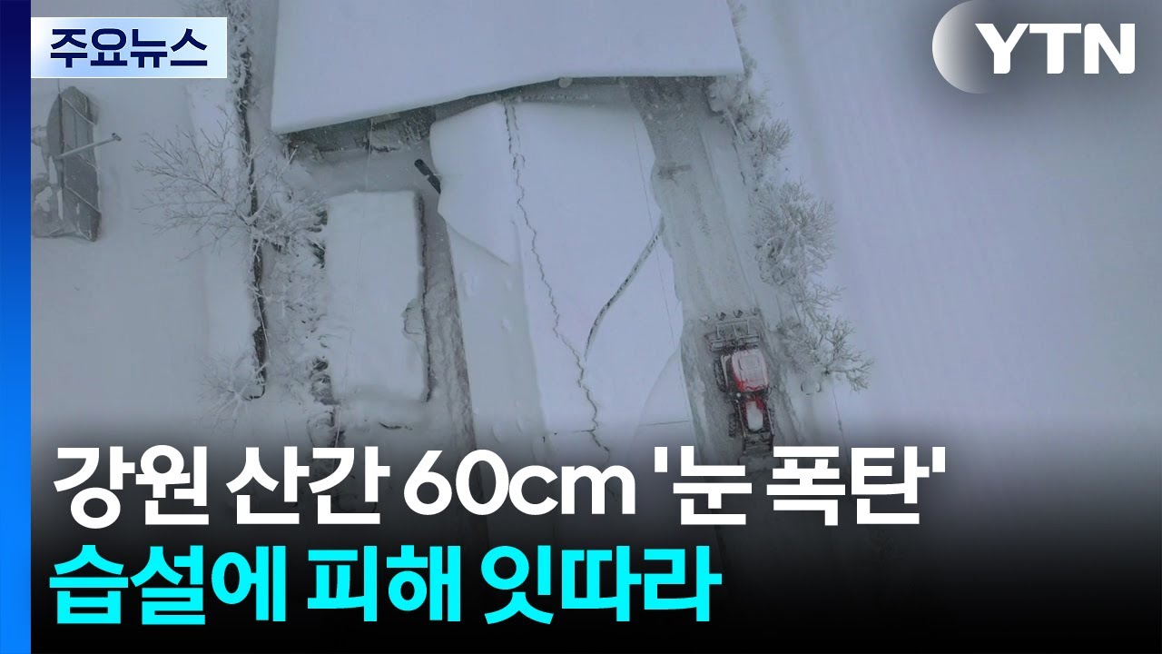 경칩 앞두고 60cm '눈 폭탄'...무거운 습설에 피해 잇따라 / YTN