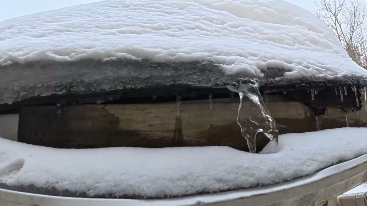 Mice and Squirrels Entering Through Foundation Openings – Follow-Up Inspection (Guelph)