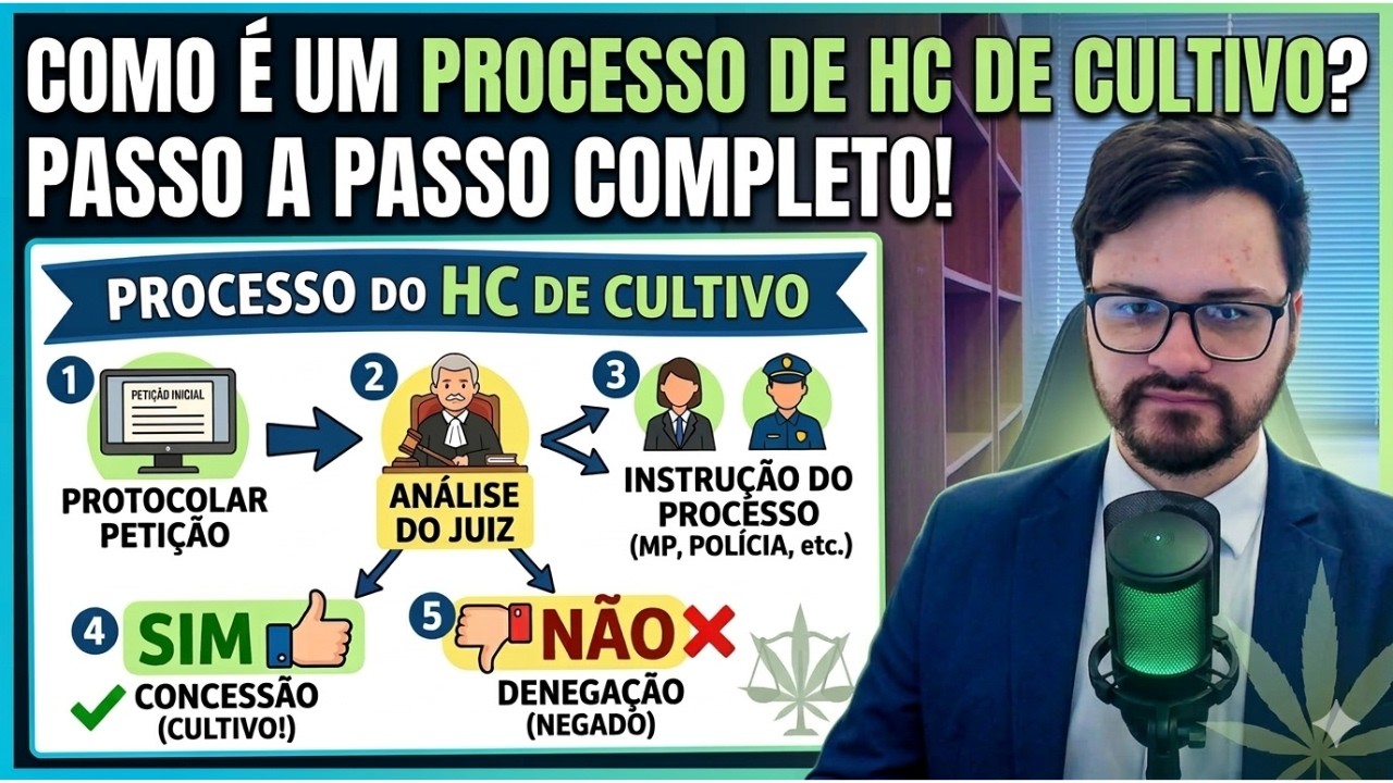 COMO É O PROCESSO DE HC DE CULTIVO (PASSO A PASSO) #cannabismedicinal #advogado