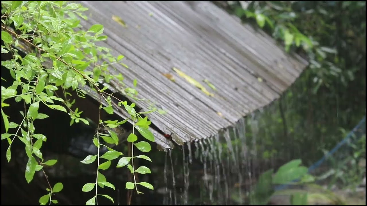 Heavy Rain on Metal Roof 10 hours | Study, Sleep, Relax | No Thunder