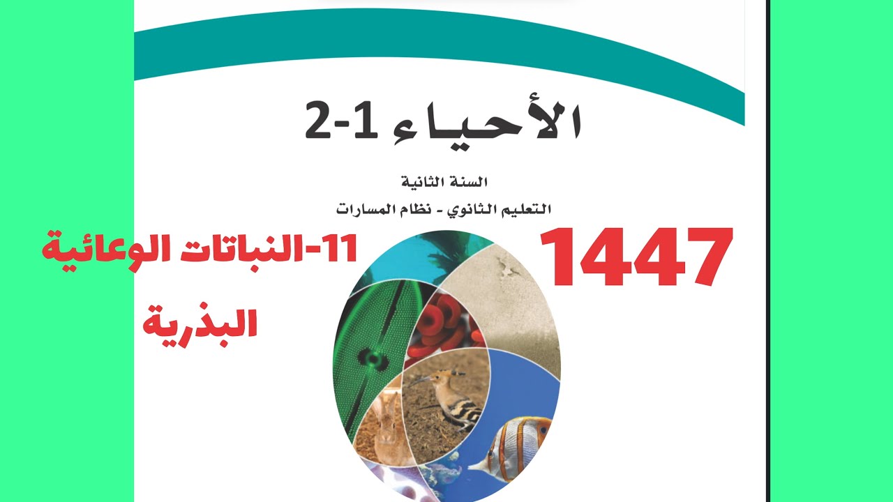 11- النباتات الوعائية البذرية ( أحياء ثاني ثانوي 1447 )