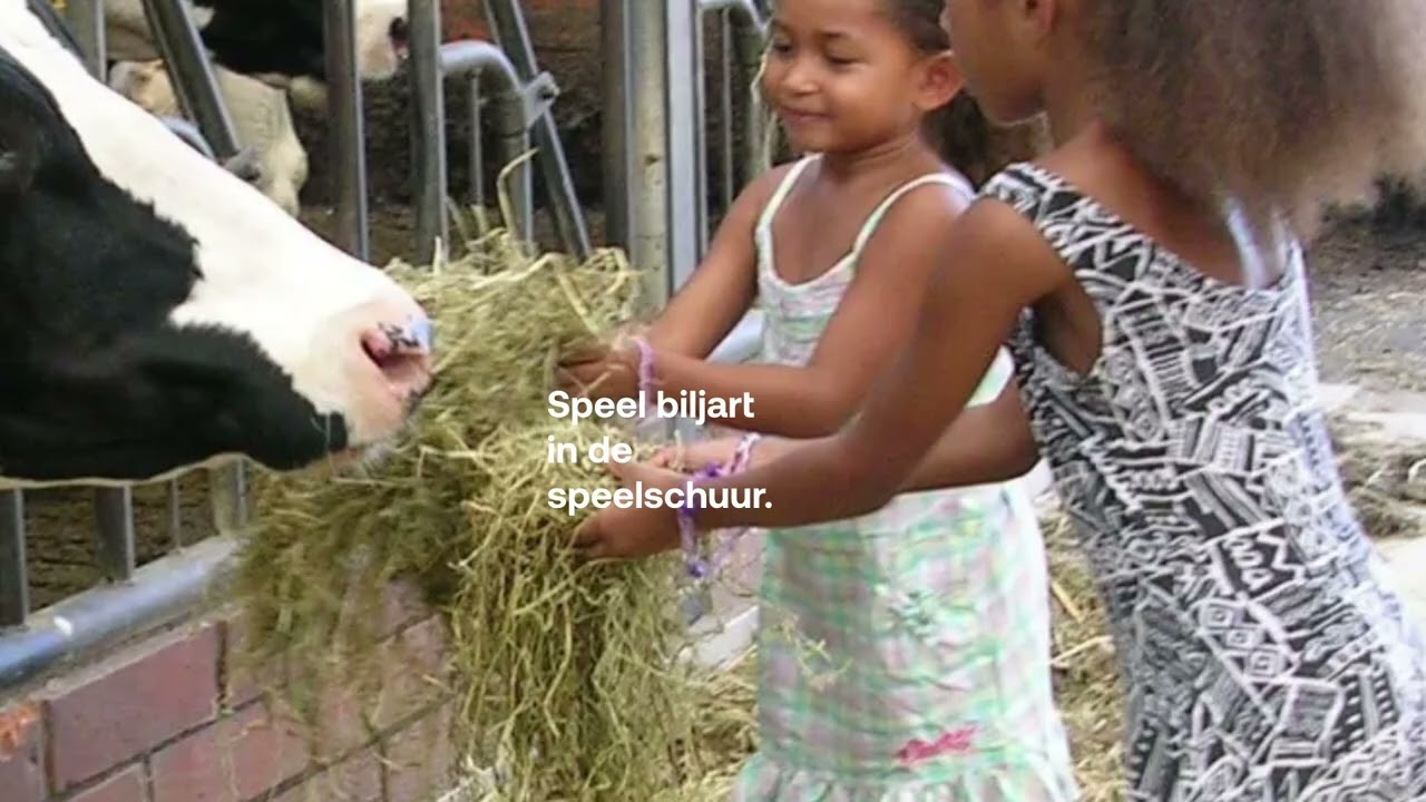 Top lijstje: Sport en spel