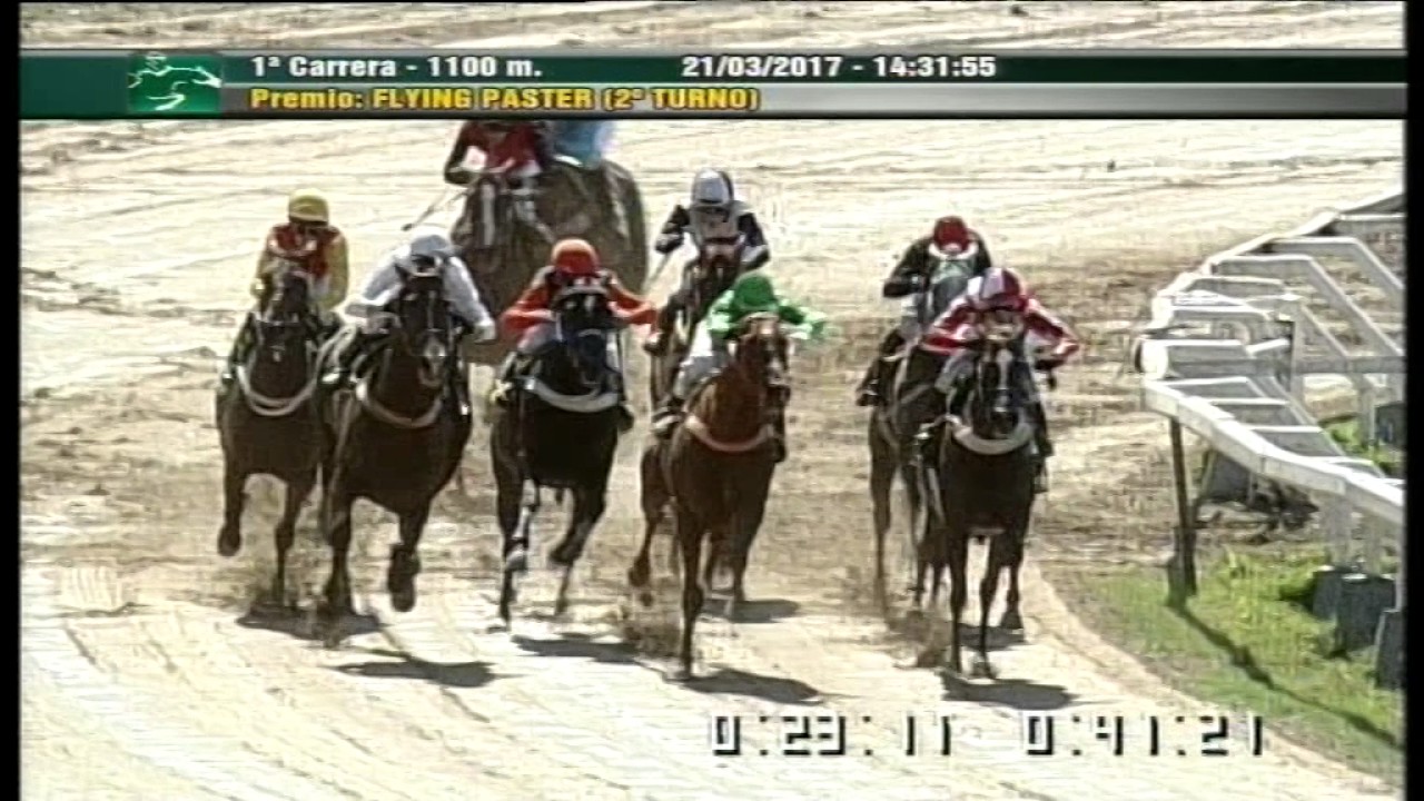 Carr.1 Premio: Flying Paster (2&deg; Turno) 21-03-2017