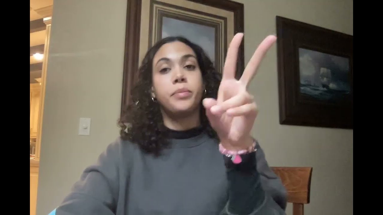Lesson 05 - Video Reflection & Analysis .