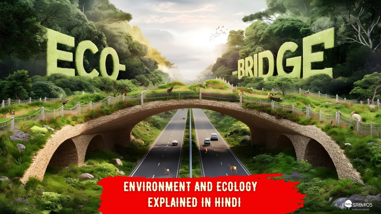 What Are Eco-Bridges and Eco-Ducts? | Environment and Ecology | Explained in Hindi