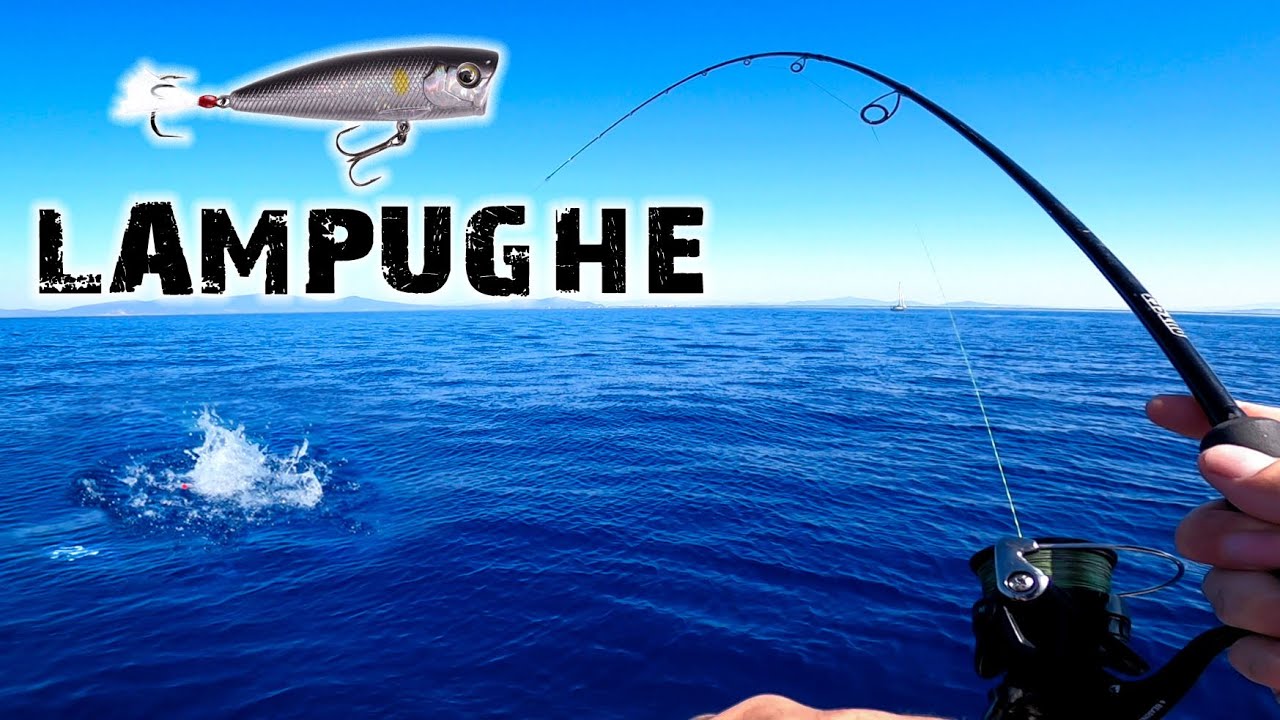 Un mare di lampughe - Catch and Cook