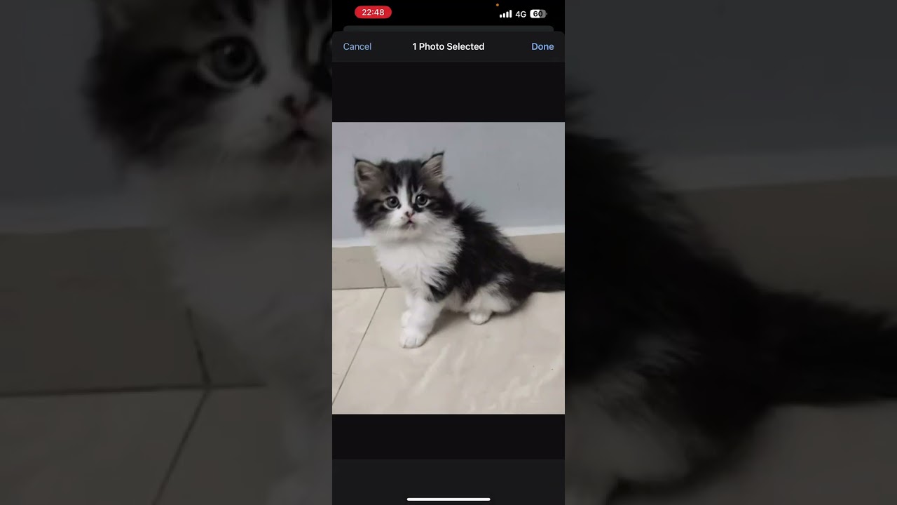 اربح المال وأنت في منزلك من خلال رعاية الحيوانات الأليفة 🐾
