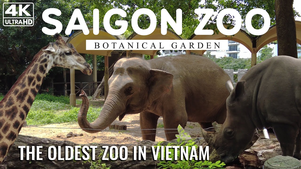 SAIGON ZOO - The Oldest Zoo in Ho Chi Minh City Vietnam | Walking Tour [4K]