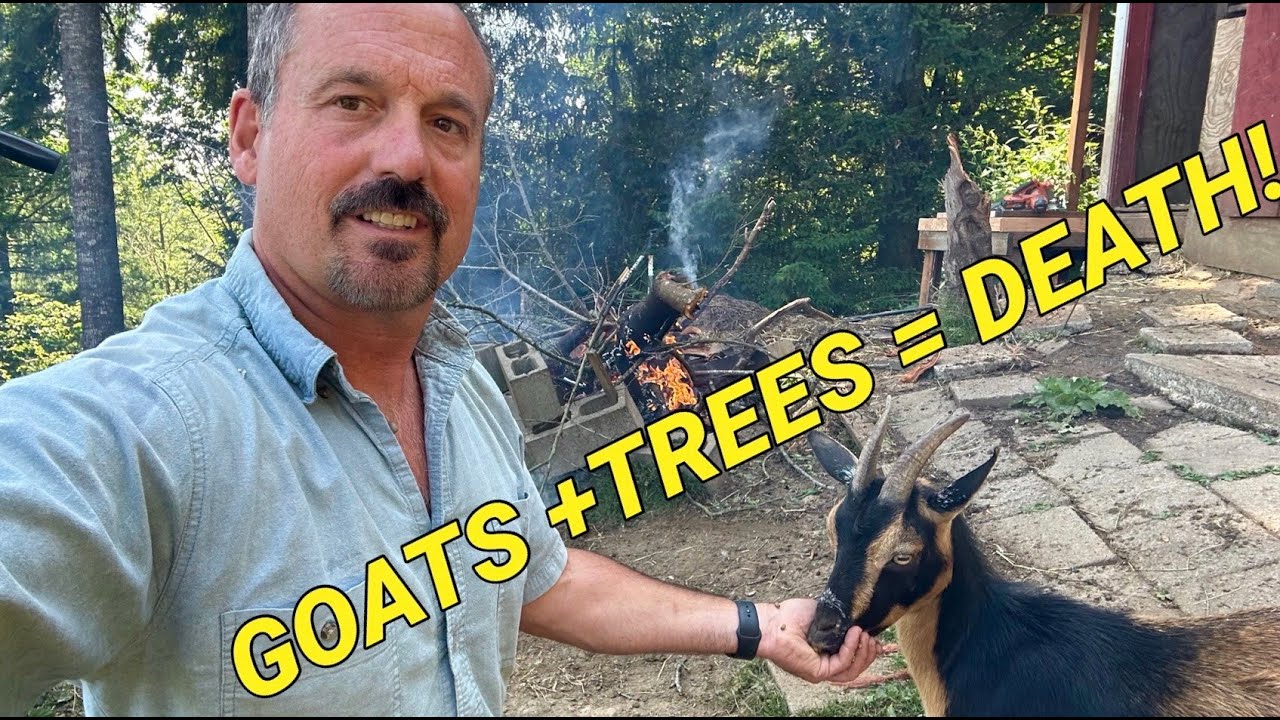 Goat pastures, can trees survive in them?