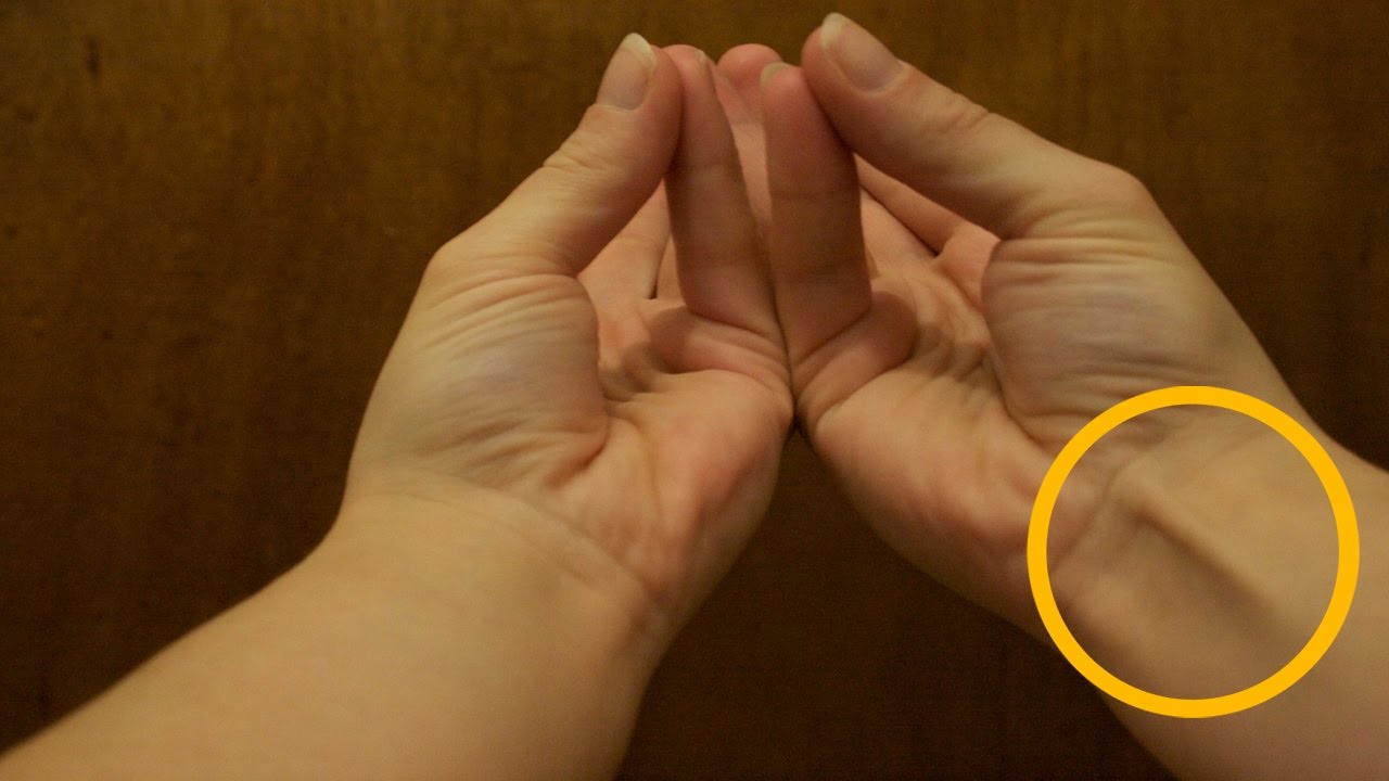 10 Things You Didn't Know About Your Own Body