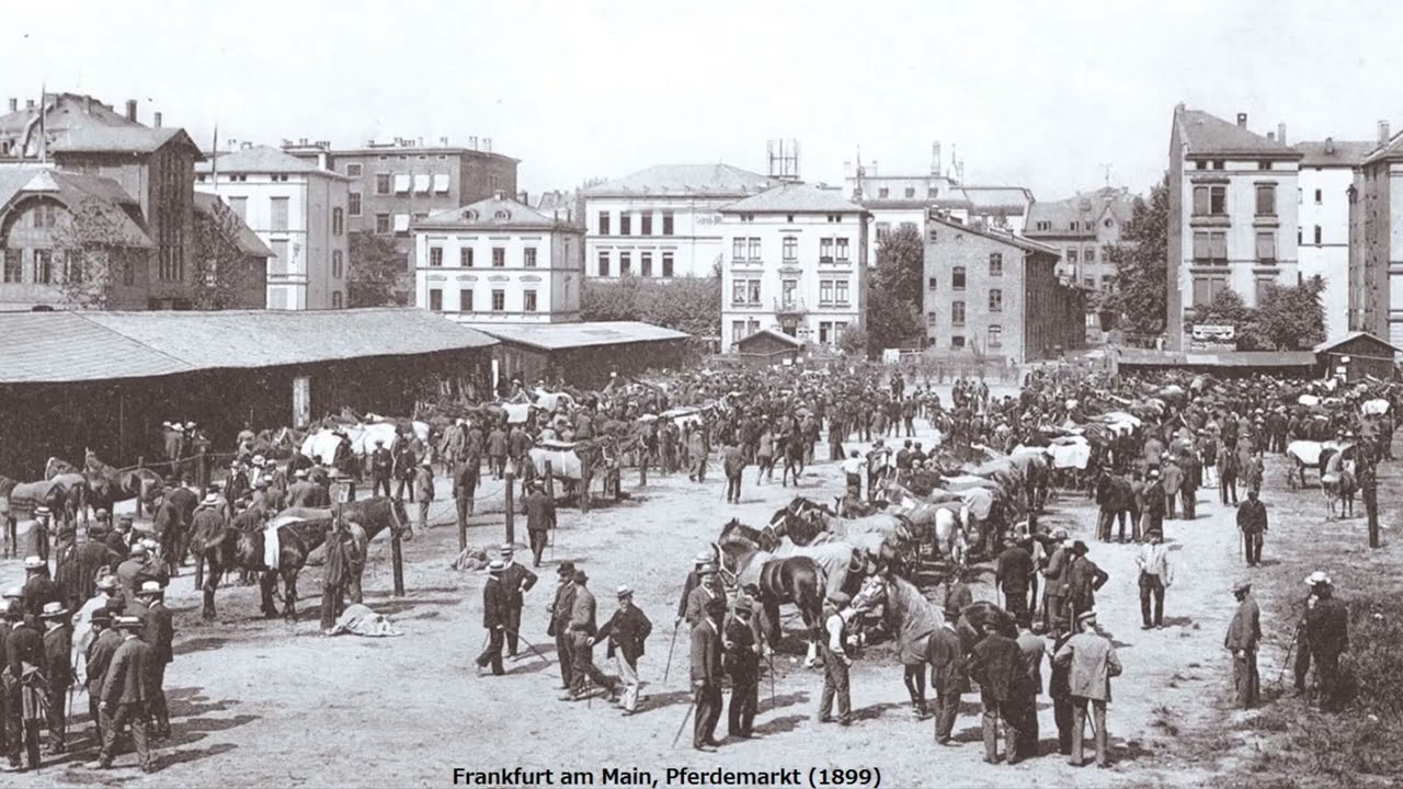 Alte Fotos Von Frankfurt am Main / Einzigartige Aufnahmen 1890 - 1900 / Bilder deutscher Städte