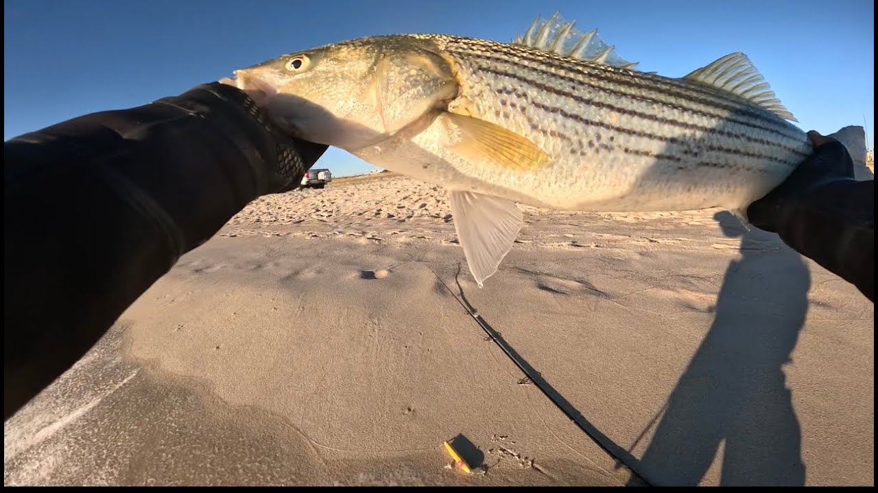 NJ SURF | STRIPED BASS | PENCIL POPPER ACTION ON FIRE