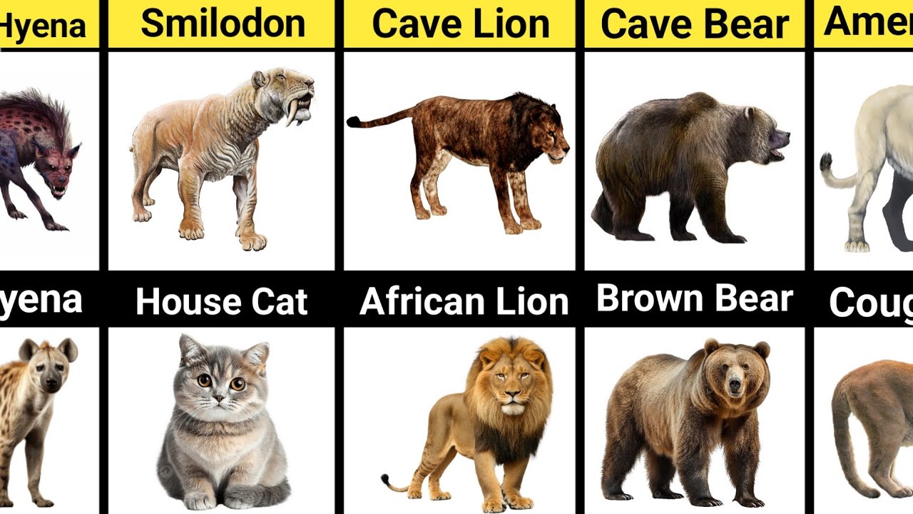 Animals That Look Cute Now but Were Once Deadly