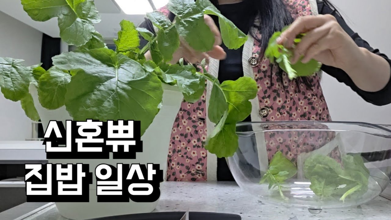 신혼부부 브이로그 | 다이어트 집밥 만들어먹고 운동하는데 살 안 빠지는 슬픈 일상😞