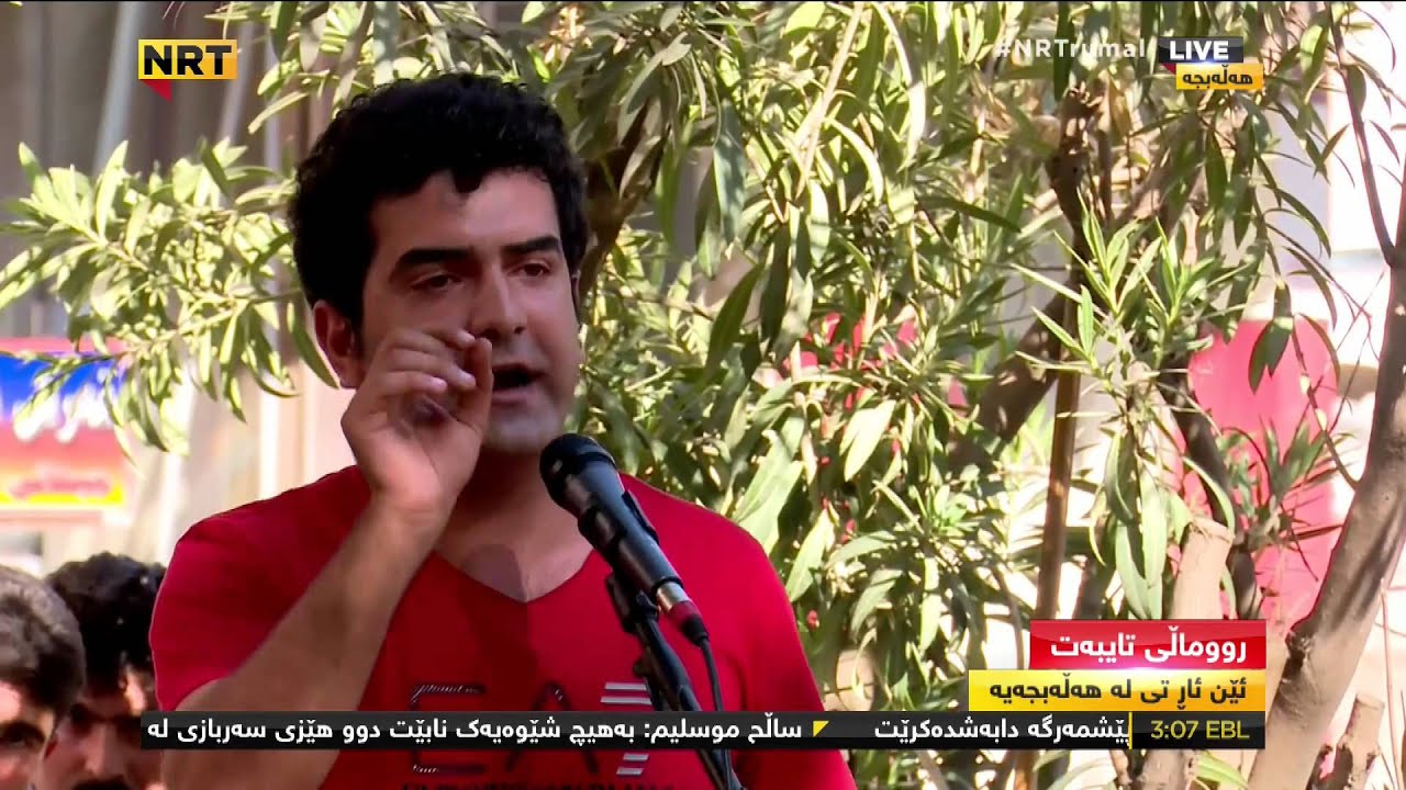هاوڵاتییەک خەمی خۆی بەشعرێکی مەولەوی دەردەبڕێت