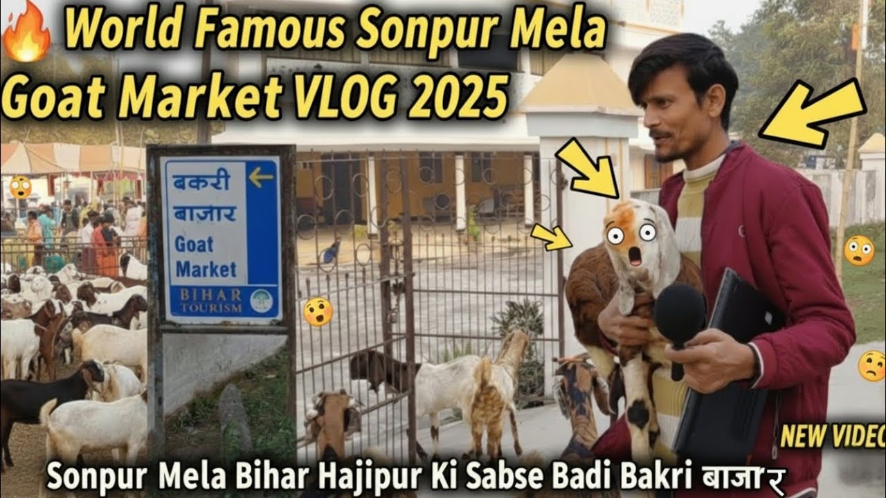 ​🔥WORLD FAMOUS SONPUR MELA 2025 🐐 | Asia's Biggest GOAT MARKET VLOG (Bakri Bazaar) #sonpurmelabihar