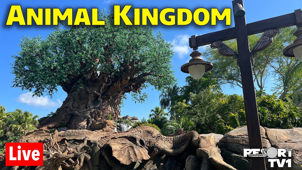 🔴Live: Whimsical Wednesday at Animal Kingdom - Walt Disney World Live Stream - 3-25-26