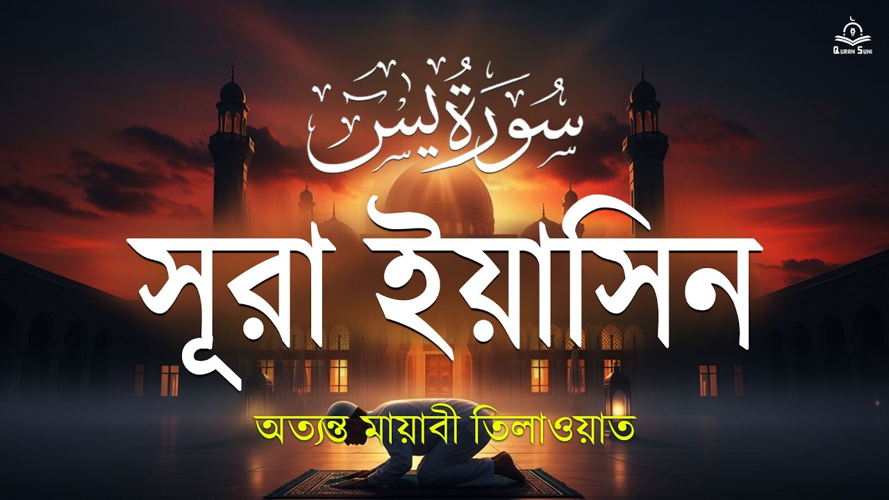 সূরা ইয়াসিন  অন্তর শীতল করা কন্ঠে মন ভালো হয়ে যাবে ইনশাআল্লাহ  Surah Yasin