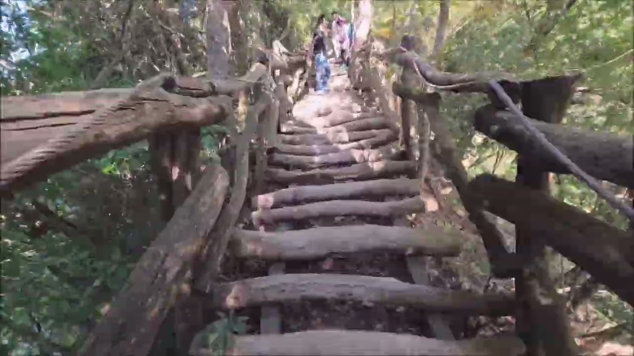頭嵙物語2026 01 13