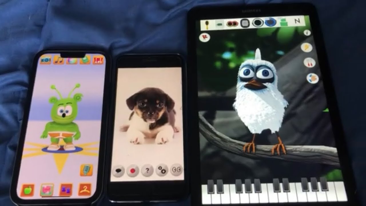 My Talking Gummy Bear Echo Vs Talking Dog Echo Vs Talking Larry The Bird Echo (3/20/2025)