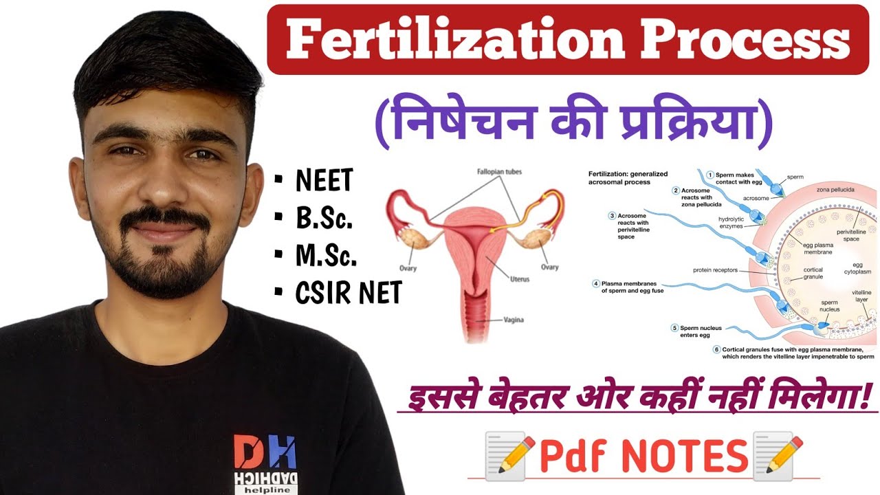 Fertilization In Hindi || Fertilization Process || Mechanism Of Fertilization || By Dadhich Sir