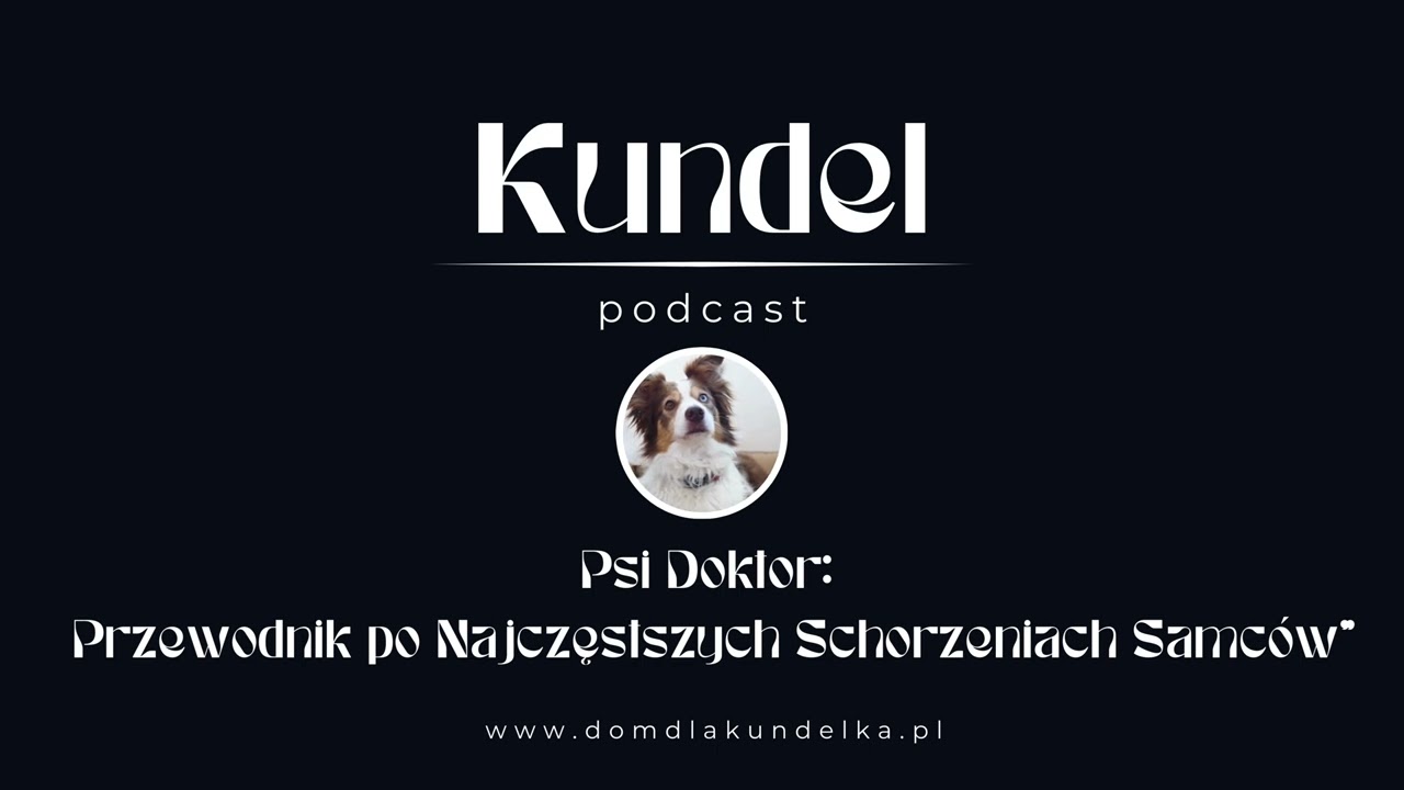 Psi Doktor: Przewodnik po Najczęstszych Schorzeniach Samc&oacute;w #pies #kot #podcast