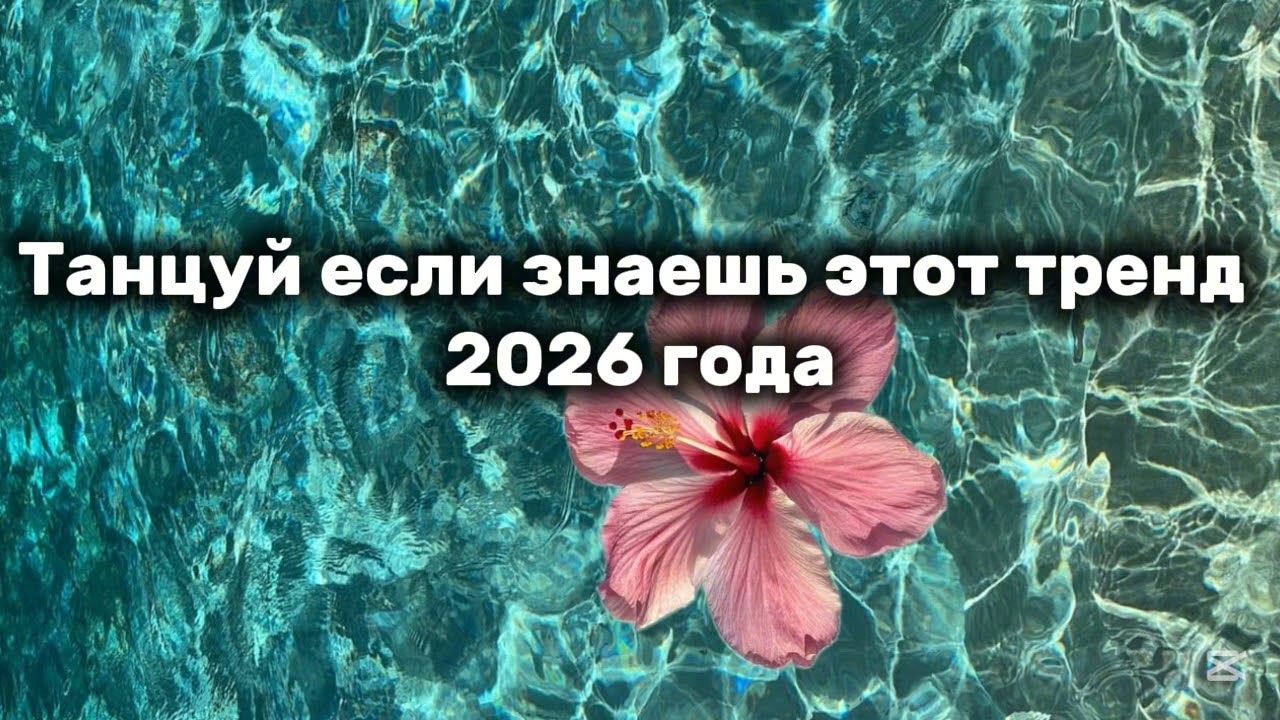 Танцуй если знаешь этот тренд 2026 года