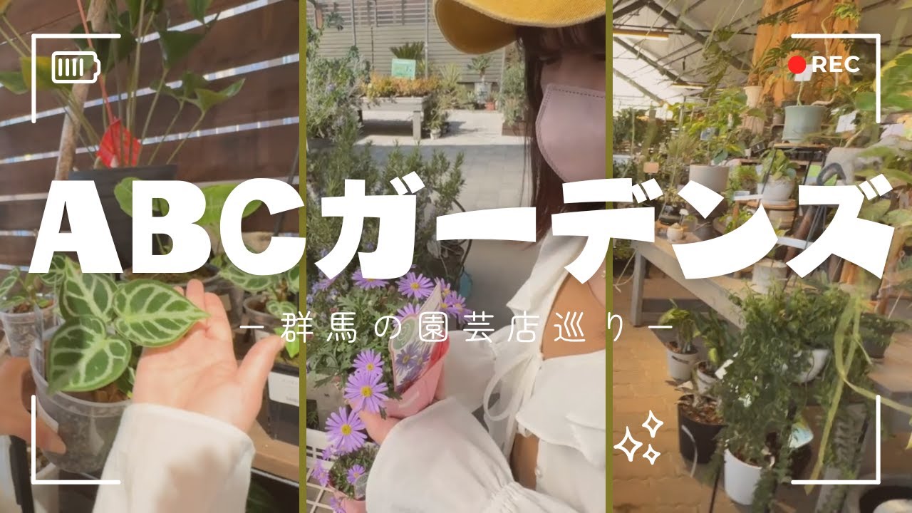 【必見】アンスリウムだってアロカシアだって斑入り植物だってお花だってここに来れば全部見れる！ABCガーデンズ完全レポートplants.ver│ABCガーデンズ│観葉植物│花│母の日│群馬│アンスリウム