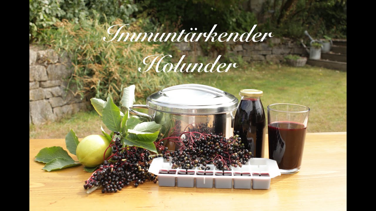Immunstärkender Holunder - Viriditas Heilpflanzen Video