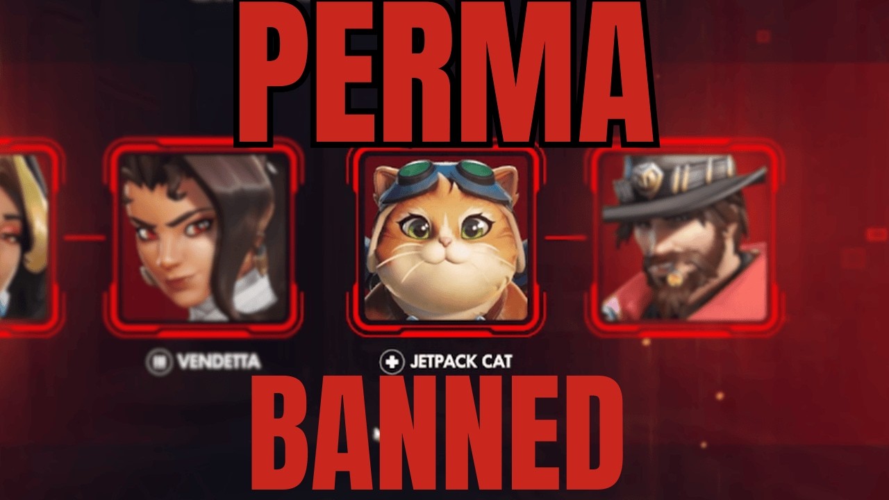 WHY does everyone HATE JETPACK CAT in Overwatch 3