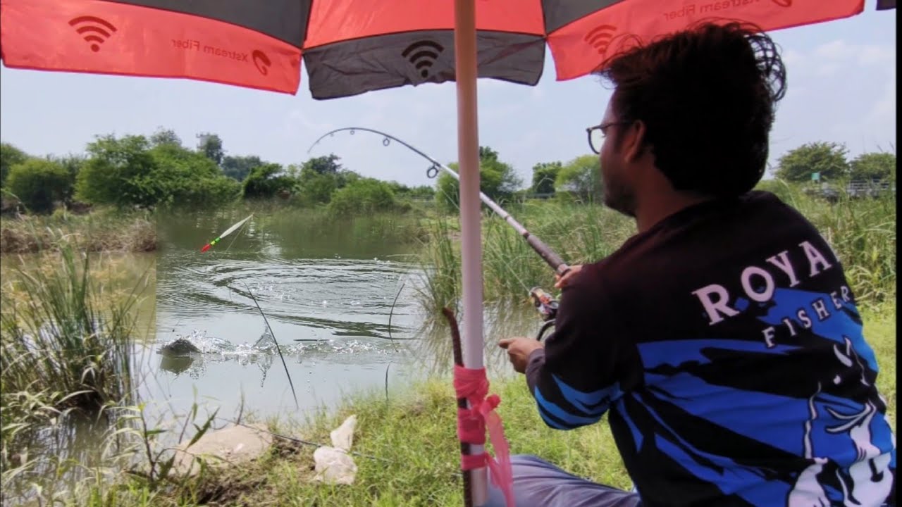 River fishing video | Amazing fishing techniques | Float fishing | Royal fisher