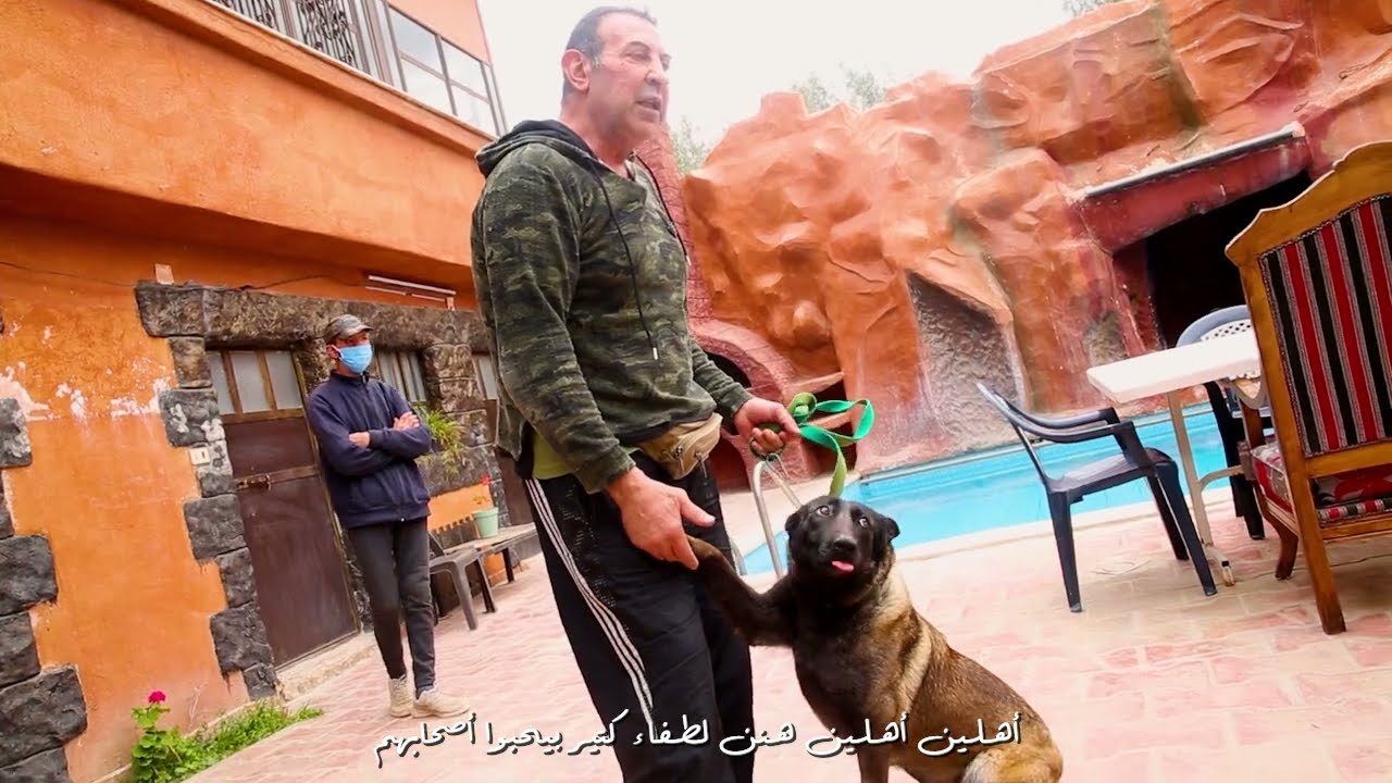 في دمشق .. سوق لسحرة الضباع والكلاب القوقازية والأسود مع رامي منصور