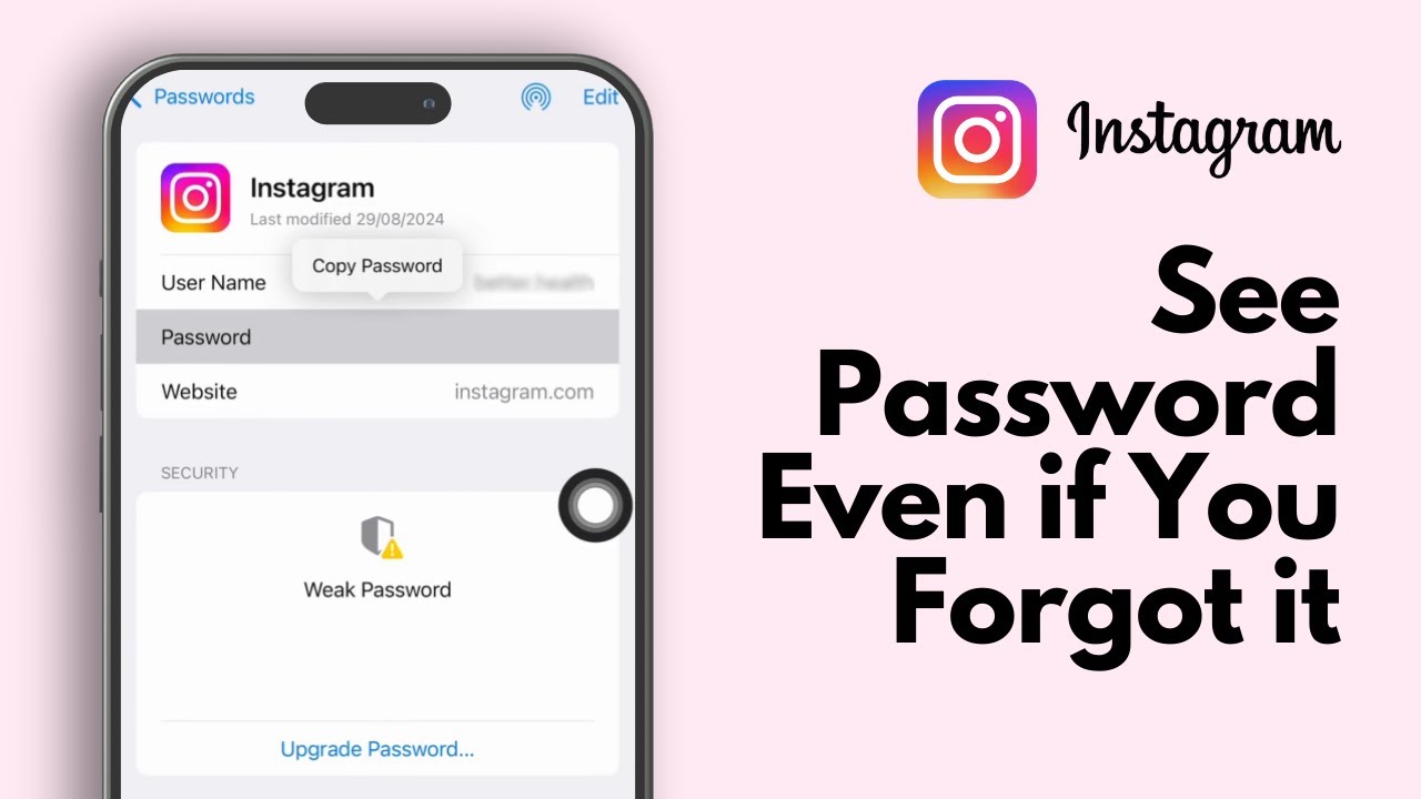 How To See Your Instagram Password in 2025 (Even If You Forgot It!) - iPhone/iOS Devices