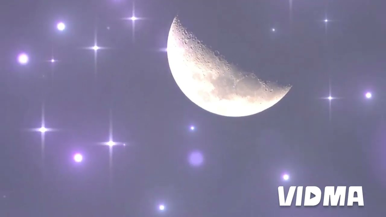 Moonlit Melodies