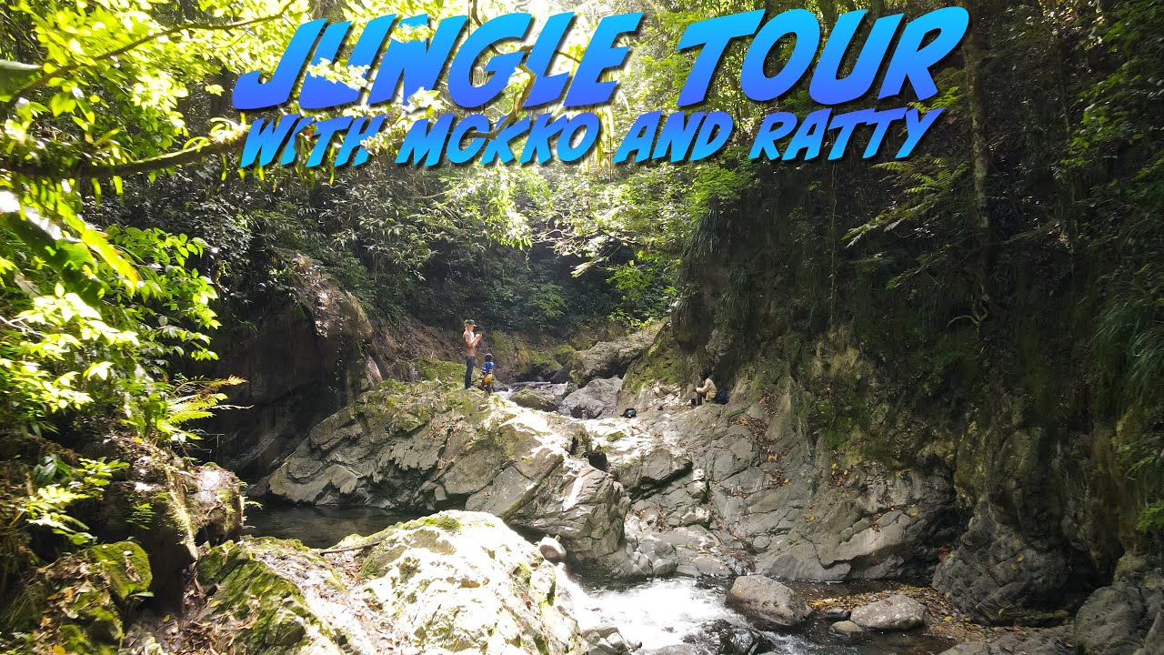 Crazy Jungle Tour with Mokko and Ratty