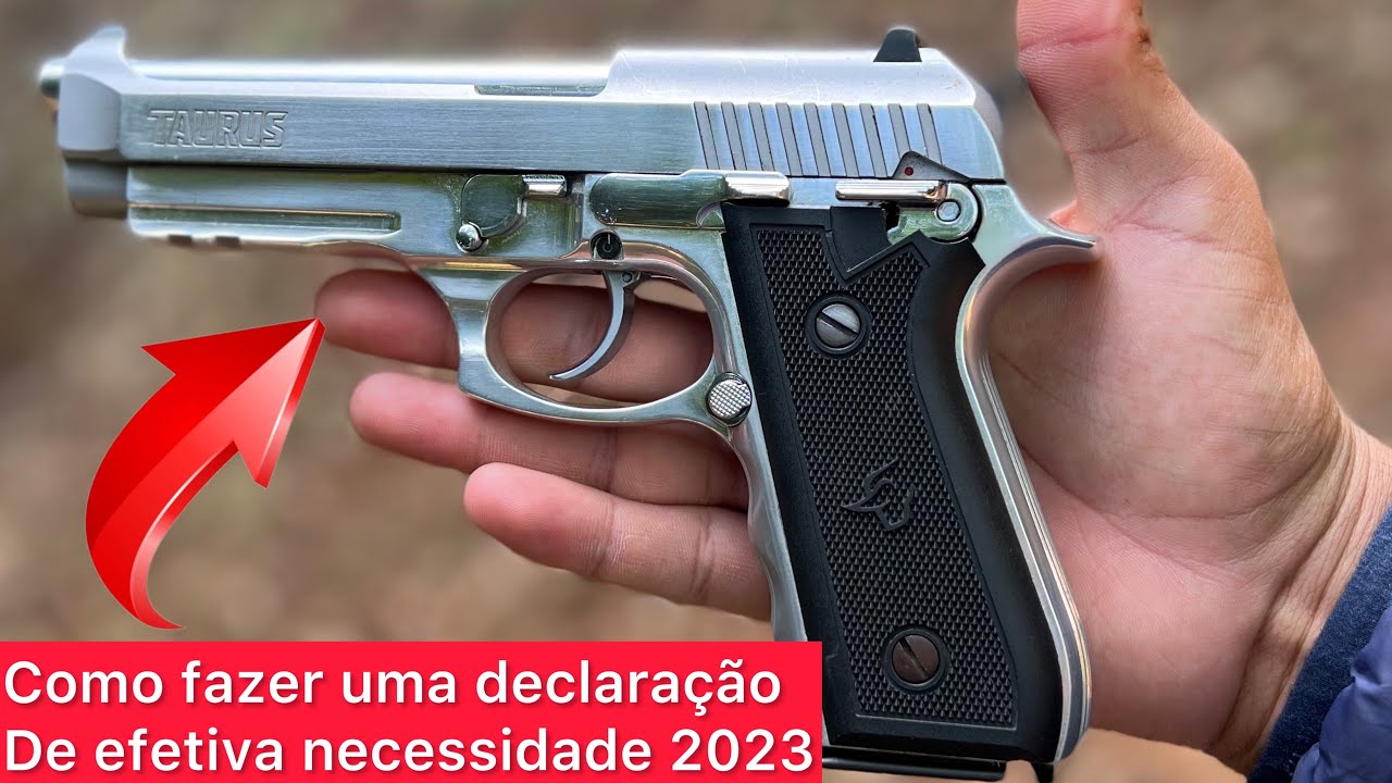 Como fazer uma declaração de efetiva necessidade atualizado 2023