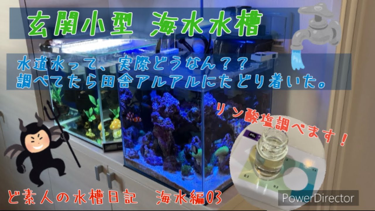 【玄関 小型 海水水槽 】水道水の水質測定！浄水場の濾過方法とは？〜人生の癒しを求めて ど素人の水槽日記〜マリンアクアリウム編Part03