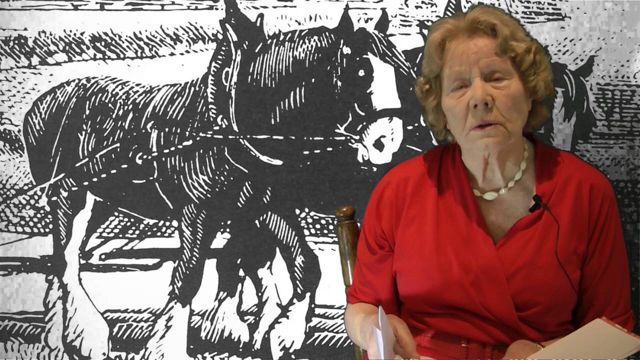 Working with horses - Margaret Jack
