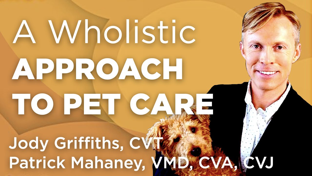 Applying the Wholistic Approach to Pet Care | WholisticMatters Podcast | Wholistic Pet Care