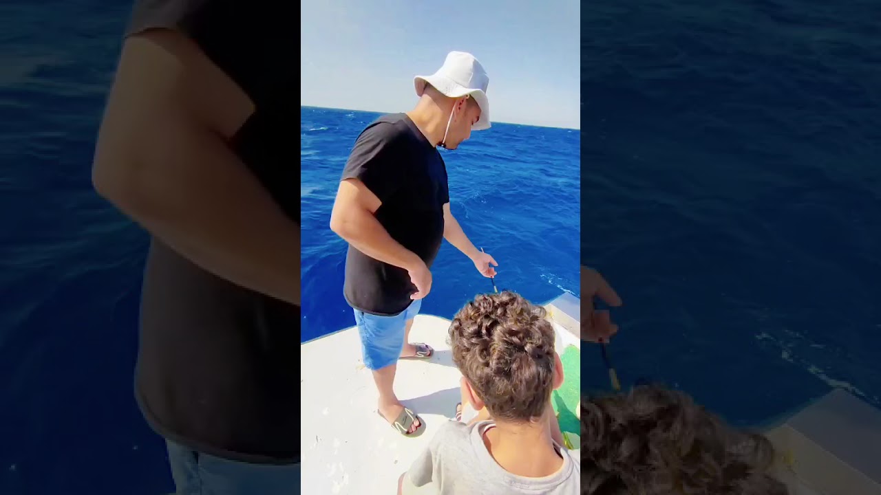 اتفرج على الفيديو ده سمك ورا بعض على المباشر