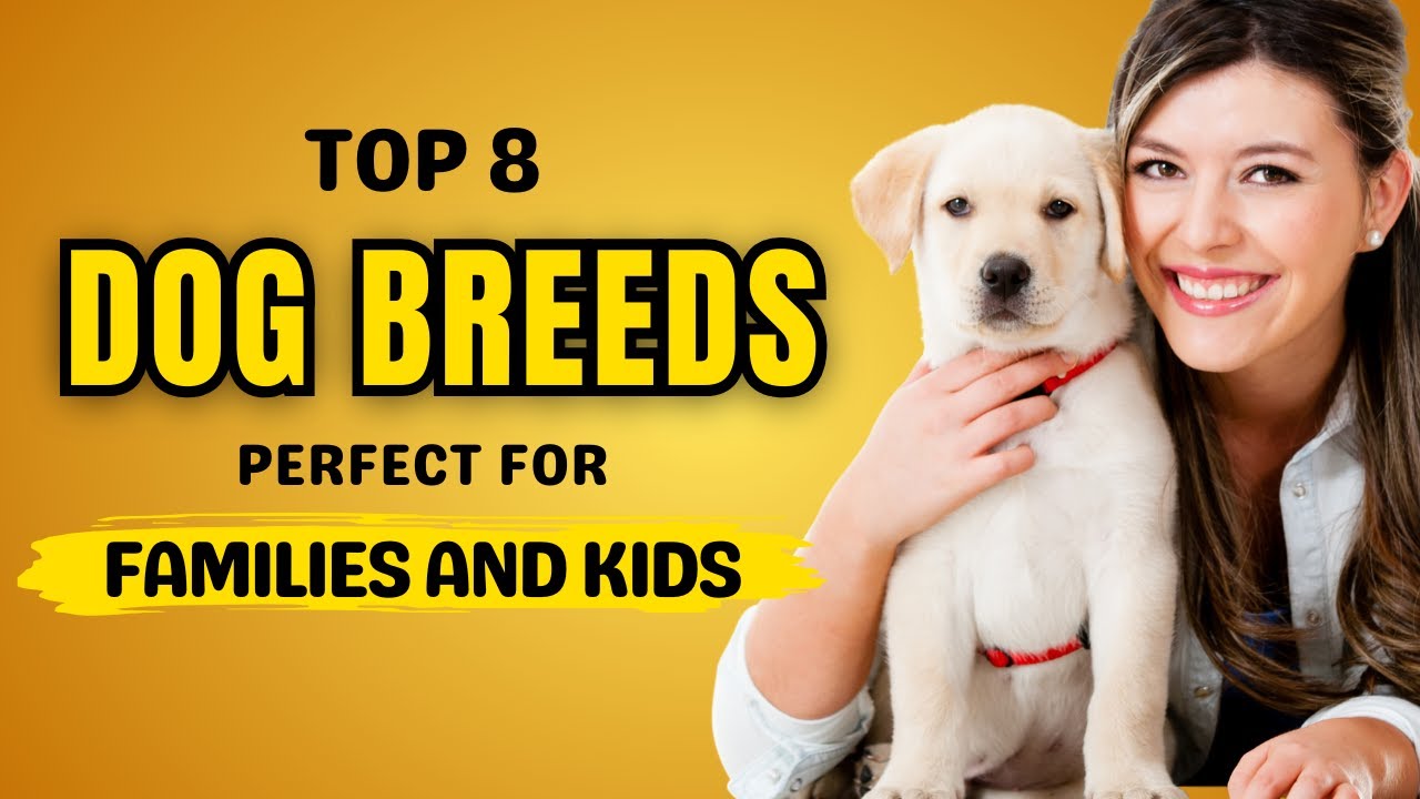Top 8 Dog Breeds Perfect for Families and Kids: Ultimate Guide 2024