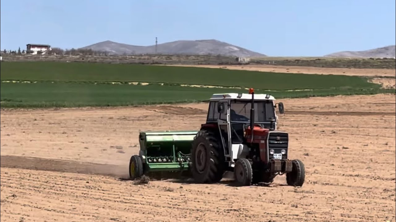 MASSEY FERGUSON 285 S İLE ASPİR EKİMİ VE 2 MAHMUT’UN HİKAYESİ 😊/ DOÇ Doğancıoğlu Çiftliği/ Akçaağıl