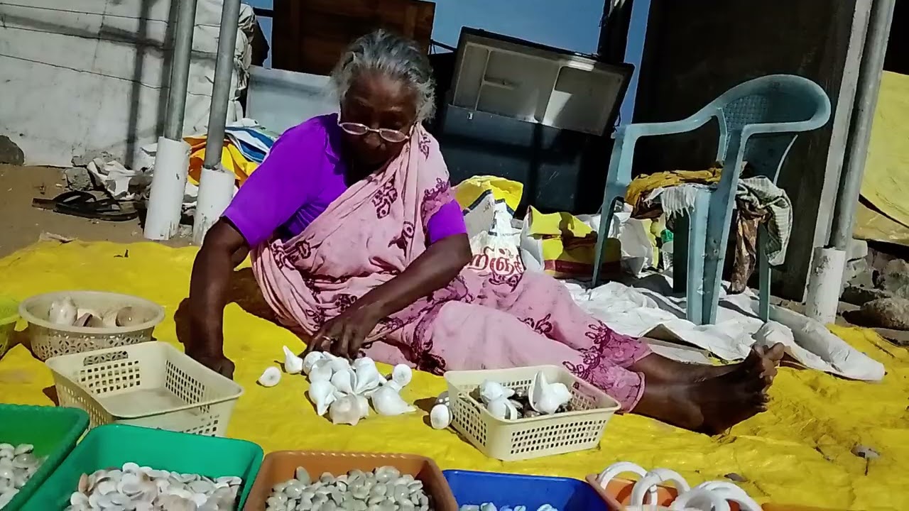 பொழுது சாய்ந்து விட்ட காரணத்தினால் மாமல்லபுரத்துக் கடற்கரை ஒதுங்கிய சங்குகளை அடுக்கி வைக்கிறார்....